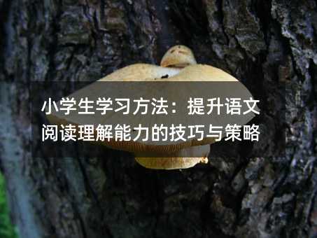 小学生学习方法：提升语文阅读理解能力的技巧与策略