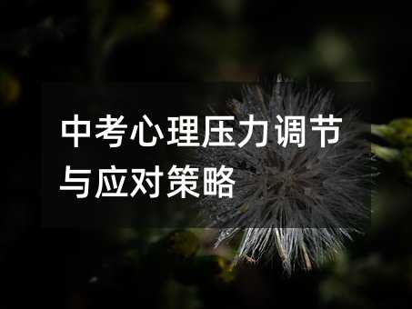 中考心理压力调节与应对策略