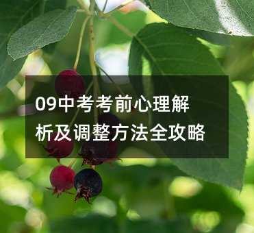 09中考考前心理解析及调整方法全攻略