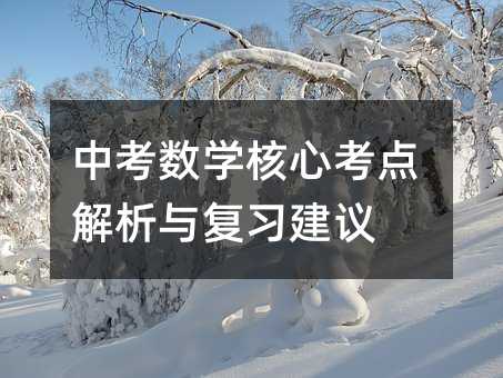 中考数学核心考点解析与复习建议