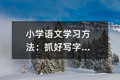 小学语文学习方法：抓好写字训练