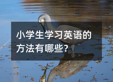 小学生学习英语的方法有哪些？