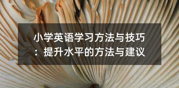 小学英语学习方法与技巧：提升水平的方法与建议