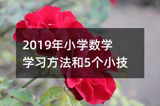 小学数学学习方法和5个小技巧