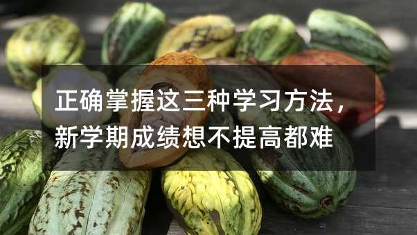 正确掌握这三种学习方法，新学期成绩想不提高都难