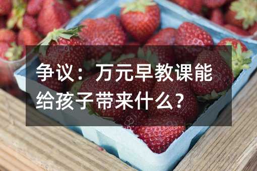 争议：万元早教课能给孩子带来什么？