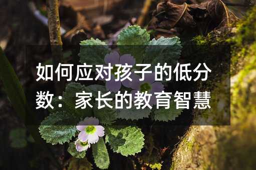 如何应对孩子的低分数：家长的教育智慧