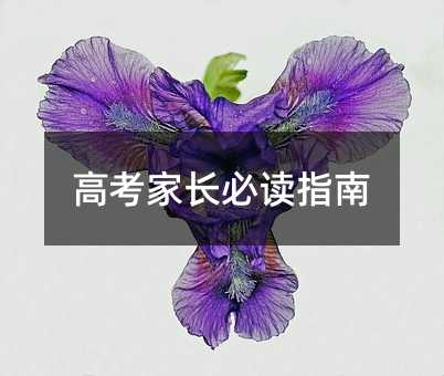 高考家长必读指南