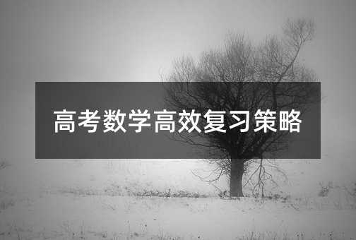 高考数学高效复习策略