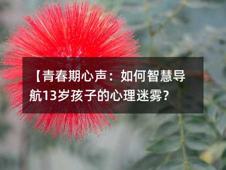 【青春期心声：如何智慧导航13岁孩子的心理迷雾？】