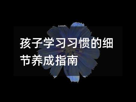 孩子学习习惯的细节养成指南