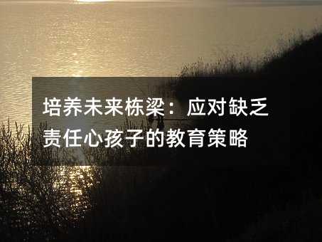 培养未来栋梁：应对缺乏责任心孩子的教育策略