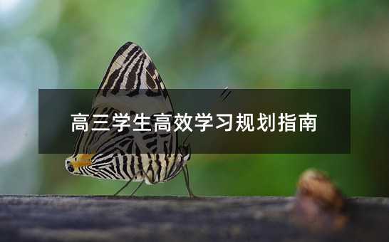 高三学生高效学习规划指南