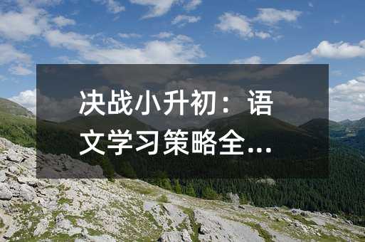 决战小升初：语文学习策略全解析