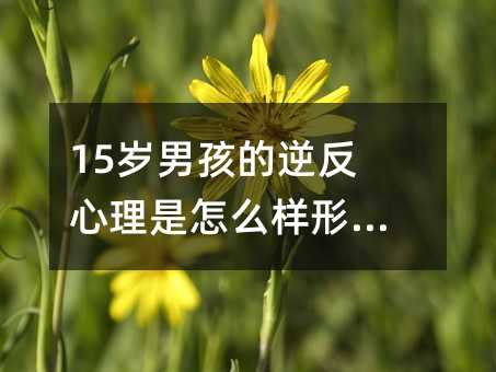 15岁男孩的逆反心理是怎么样形成的？