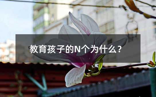 教育孩子的n个为什么？