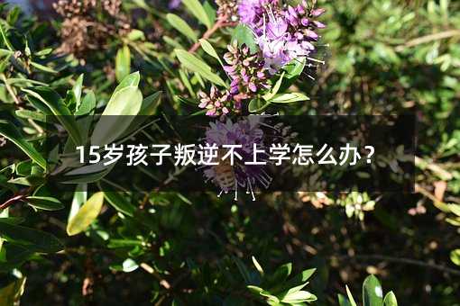 15岁孩子叛逆不上学怎么办？