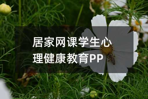 居家网课学生心理健康教育ppt