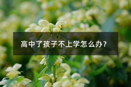 高中了孩子不上学怎么办？