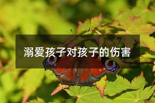 溺爱孩子对孩子的伤害