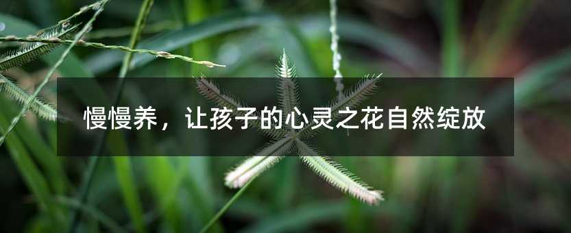 慢慢养，让孩子的心灵之花自然绽放