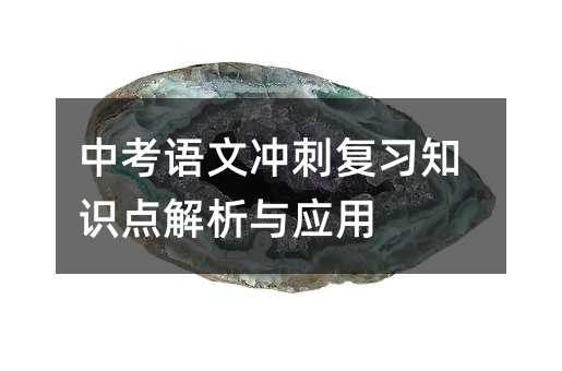 中考语文冲刺复习知识点解析与应用