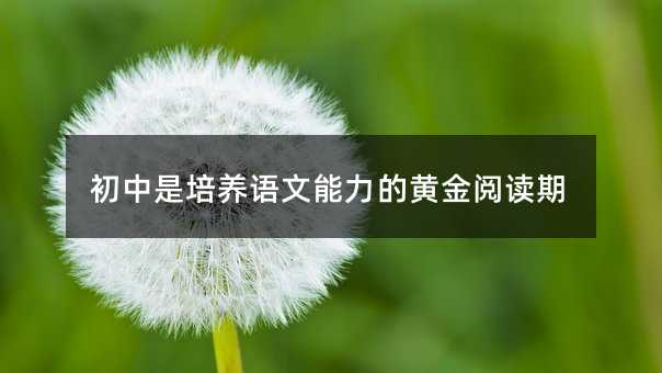 初中是培养语文能力的黄金阅读期