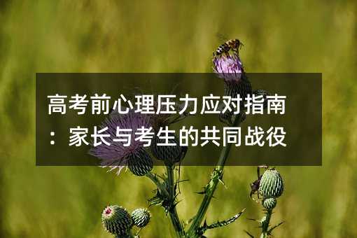 高考前心理压力应对指南：家长与考生的共同战役