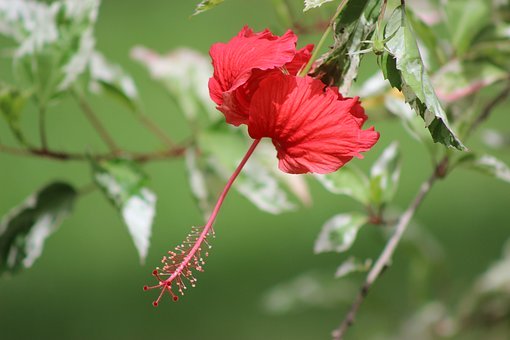 小学生上课容易发呆走神怎么办