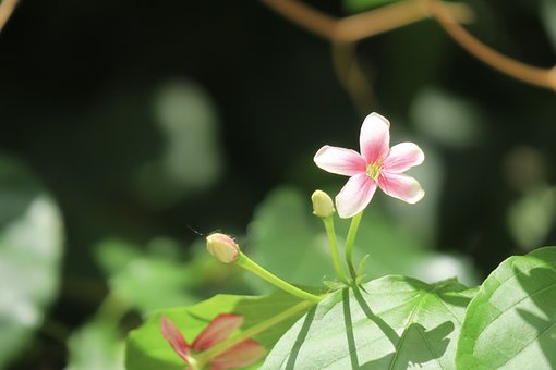 辍学打架：对学生成长和未来的负面影响