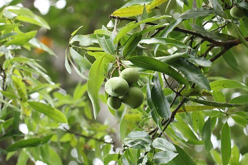 培养与孩子的良好关系：理解、尊重与引导